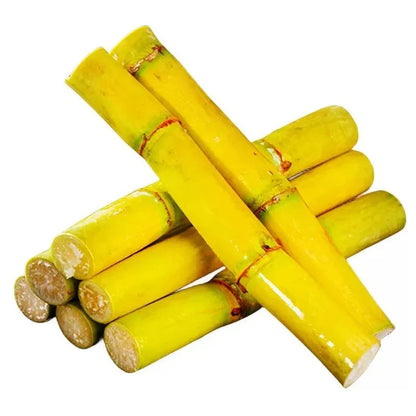 🌱 Grow Your Own Sugarcane – High Germination Seeds ✨ for Easy Home Gardens 🌿-H1