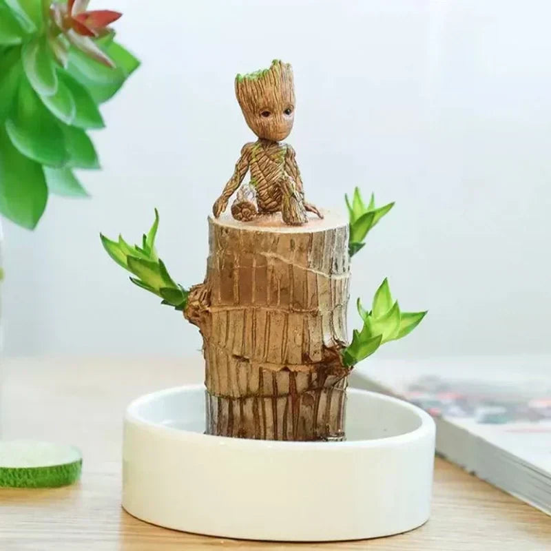 🏆65K+ SOLD!🌿Brazilian lucky trees, bring you luck and increase wealth, mysterious doll with base-TJY