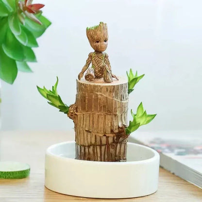 🏆65K+ SOLD!🌿Brazilian lucky trees, bring you luck and increase wealth, mysterious doll with base-TJY