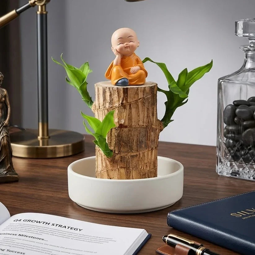 🏆65K+ SOLD!🌿Brazilian lucky trees, bring you luck and increase wealth, mysterious doll with base-TJY
