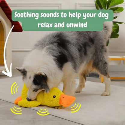 Peluche calmante per cani con suono di starnazzamento – riduce l’ansia da separazione | CALMQUA