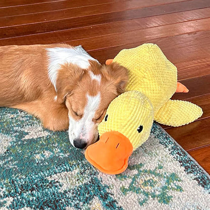 Peluche calmante per cani con suono di starnazzamento – riduce l’ansia da separazione | CALMQUA