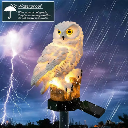 🔥Last Day Special 50% OFF🔥 Waterproof Solar Owl Light-923