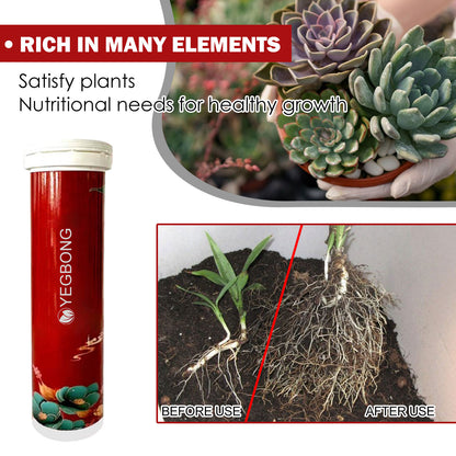 🔥All-purpose slow-release fertilizer for plants-W18
