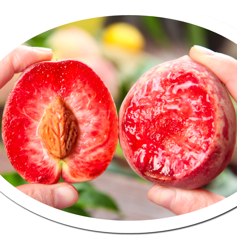 🔥50K+ SOLD!💟 Premium Pink Peach Seeds - 😋A Uniquely Delightful Taste-923