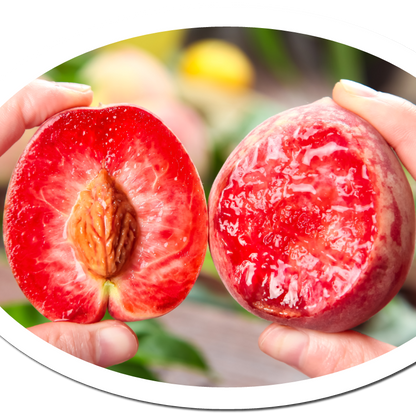 🔥50K+ SOLD!💟 Premium Pink Peach Seeds - 😋A Uniquely Delightful Taste-923