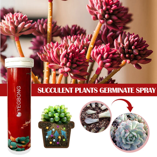 🔥All-purpose slow-release fertilizer for plants-W18