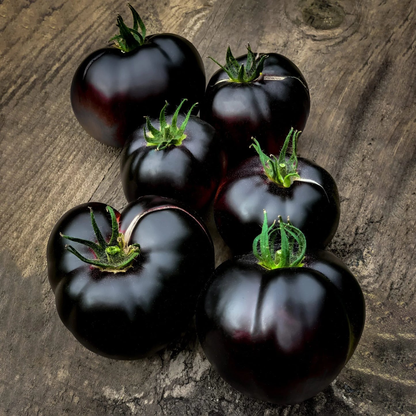 🔥 (New Harvest)🔥Balcony Red Tomato and 'Black Beauty' Tomato Seeds| 🌿Pre-Primed for High Germination (99% Germination)-GD