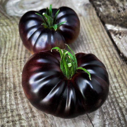 🔥 (New Harvest)🔥Balcony Red Tomato and 'Black Beauty' Tomato Seeds| 🌿Pre-Primed for High Germination (99% Germination)-GD