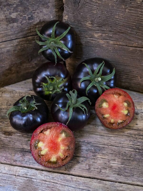 🔥 (New Harvest)🔥Balcony Red Tomato and 'Black Beauty' Tomato Seeds| 🌿Pre-Primed for High Germination (99% Germination)-GD