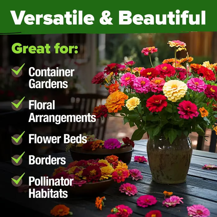 🌸 Spring flowers are preferred🌿Zinnia Seeds - Pure Seeds - No Filler - USA Heirloom Flower Seeds-TJY