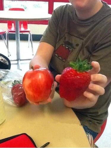 🏆75K+ SOLD! Rare Giant Strawberry Seeds 🍓 Grow Huge, Easy to grow-TJY