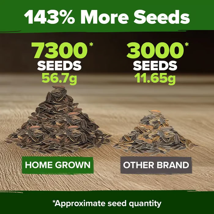 🌸 Spring flowers are preferred🌿Zinnia Seeds - Pure Seeds - No Filler - USA Heirloom Flower Seeds-TJY