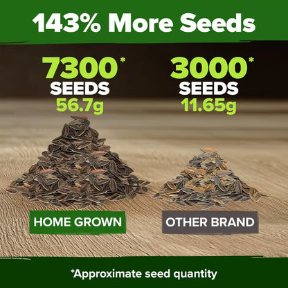 🌸 Spring flowers are preferred🌿Zinnia Seeds - Pure Seeds - No Filler - USA Heirloom Flower Seeds-TJY