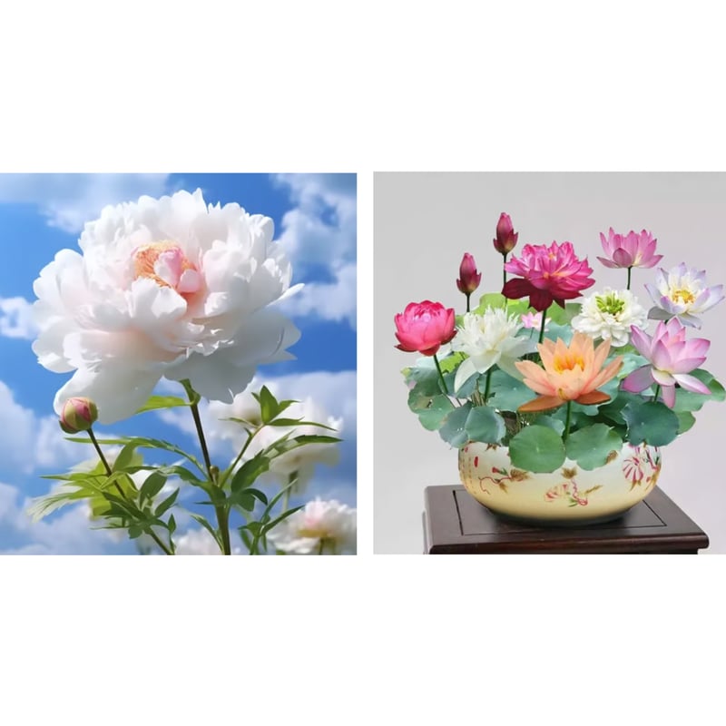 🔥LAST DAY 45% OFF🌺THE QUEEN OF FLOWERS—DOUBLE PETALED PIANI-923