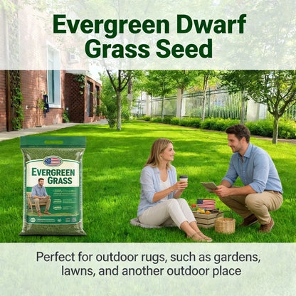 🌱2026 Evergreen Dwarf Grass Seed | For Four Seasons-GD