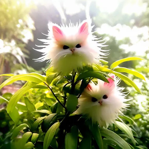 🔥Amazing Plants! 🌈🐱Cat's Eye Dazzle Flower-W18