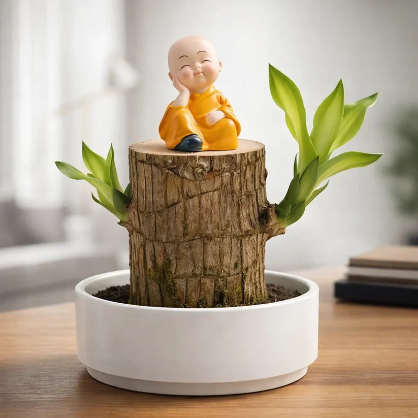🏆65K+ SOLD!🌿Brazilian lucky trees, bring you luck and increase wealth, mysterious doll with base-TJY