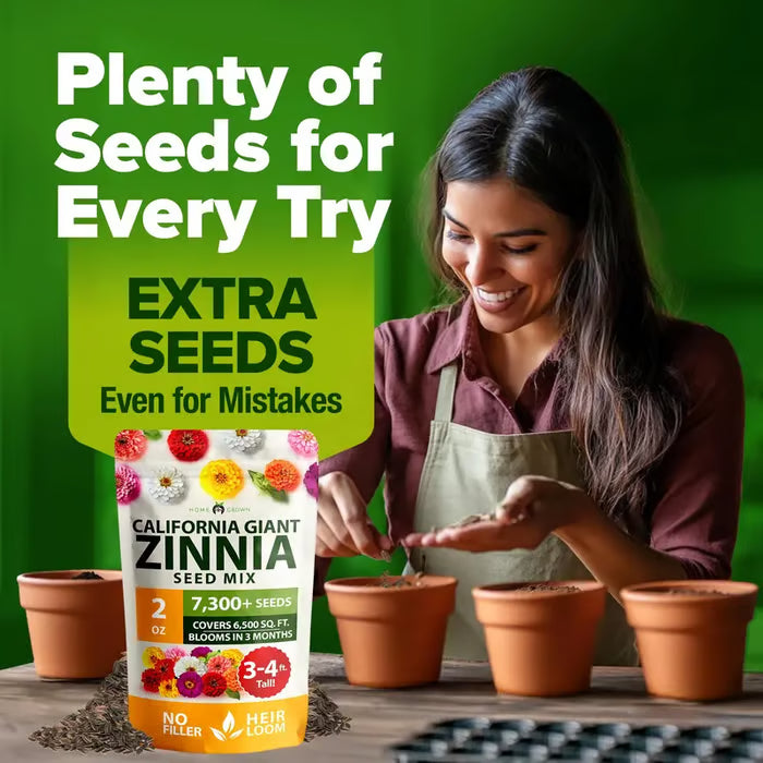 🌸 Spring flowers are preferred🌿Zinnia Seeds - Pure Seeds - No Filler - USA Heirloom Flower Seeds-TJY