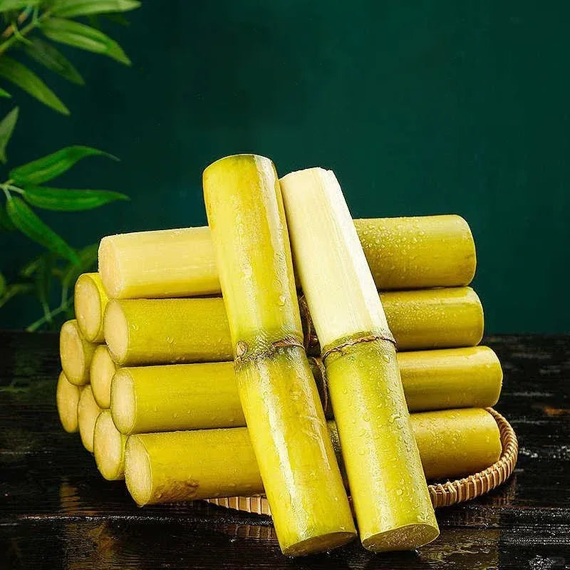 🌱 Grow Your Own Sugarcane – High Germination Seeds ✨ for Easy Home Gardens 🌿-H1