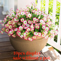 Rose Pink