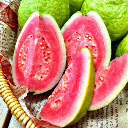 🔥 (New Harvest) Organic Pink Guava Seeds | 🌿Pre-Primed for High Germination (99% Germination)-XA