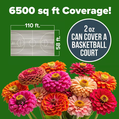 🌸 Spring flowers are preferred🌿Zinnia Seeds - Pure Seeds - No Filler - USA Heirloom Flower Seeds-TJY