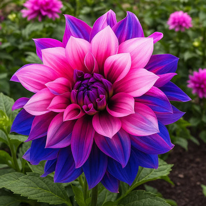 🌸Rare Double Dahlias🌿 – Bold Blooms Ordinary Gardens Never Have-ABB8