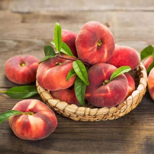 🔥50K+ SOLD!💟 Premium Pink Peach Seeds - 😋A Uniquely Delightful Taste-923