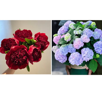 🔥LAST DAY 45% OFF🌺THE QUEEN OF FLOWERS—DOUBLE PETALED PIANI-923