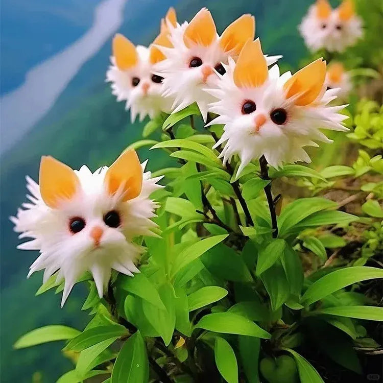 🔥Amazing Plants! 🌈🐱Cat's Eye Dazzle Flower-W18