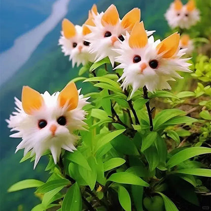 🔥Amazing Plants! 🌈🐱Cat's Eye Dazzle Flower-W18