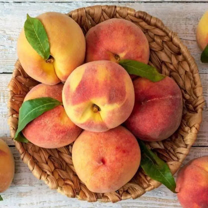 🔥50K+ SOLD!💟 Premium Pink Peach Seeds - 😋A Uniquely Delightful Taste-923