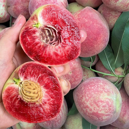 💵🌿Premium Orchard-Grade Peach Seeds🍑- High Survival Rate Fast Growing，Sweet Juicy Fruit，Non-GMO Organic for Home Garden Balcony Indoor Outdoor Planting-INT