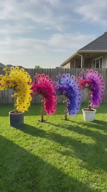 🔥🦚Peacock Bougainvillea Seeds - Add elegant peacock blossoms to your garden-INT