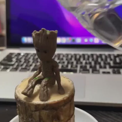 🏆65K+ SOLD!🌿Brazilian lucky trees, bring you luck and increase wealth, mysterious doll with base-TJY