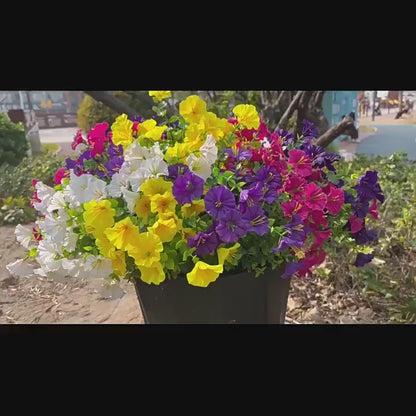 🌟🌈 Artificial Potted Plant🌹6pcs Faux Morning Glory Flower with UV Protective Function🔥-TJY
