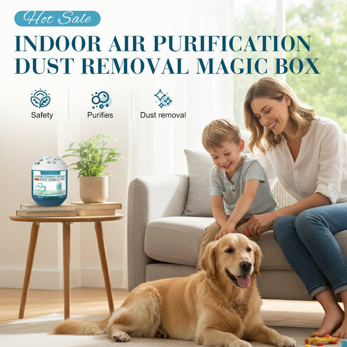 🔥2026 New Collection - Limited-Time Pre-Sale⏰Indoor Air Purification Dust Removal Magic Box🏠🌿ZZQ