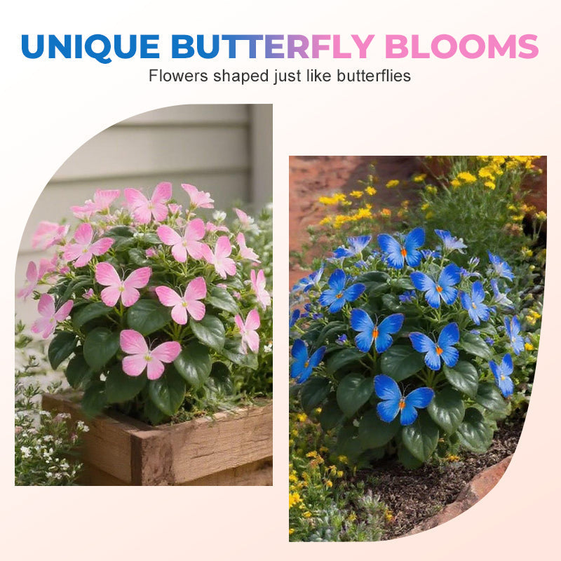 🦋 Whimsical Butterfly Shaped Flower Seeds ✨-GD