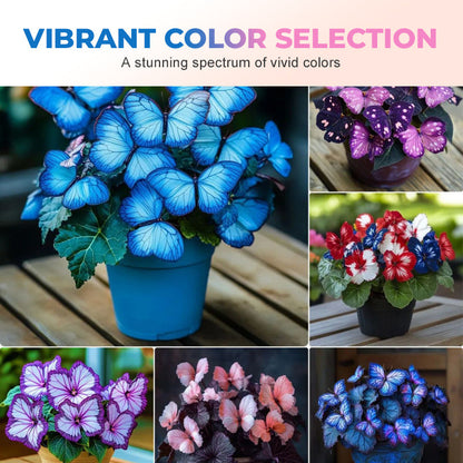 🦋 Whimsical Butterfly Shaped Flower Seeds ✨-GD