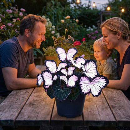 🦋 Whimsical Butterfly Shaped Flower Seeds ✨-GD
