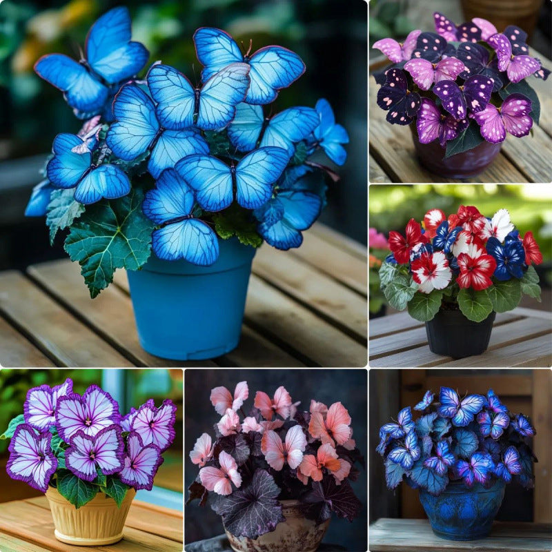 🦋 Whimsical Butterfly Shaped Flower Seeds ✨-GD