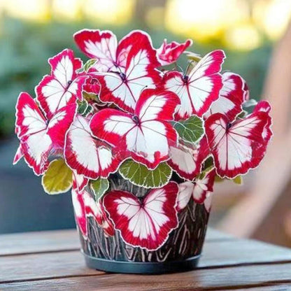 🦋 Whimsical Butterfly Shaped Flower Seeds ✨-GD