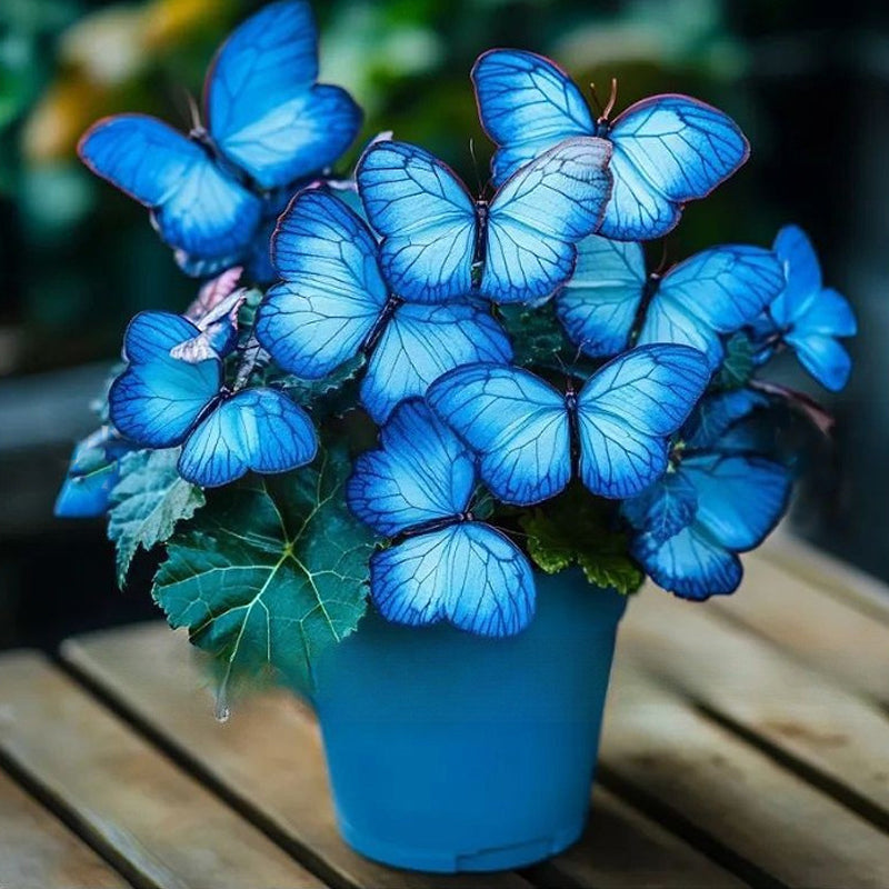 🦋 Whimsical Butterfly Shaped Flower Seeds ✨-GD