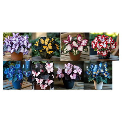🦋 Whimsical Butterfly Shaped Flower Seeds ✨-GD