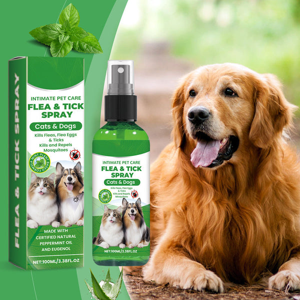 🍃Natural Flea & Tick Spray for Dogs and Cats🐾 Keep Your Beloved Pet Free from Pests-ABB8