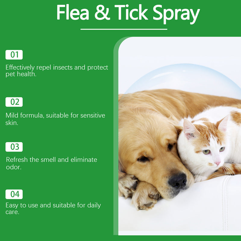 🍃Natural Flea & Tick Spray for Dogs and Cats🐾 Keep Your Beloved Pet Free from Pests-ABB8