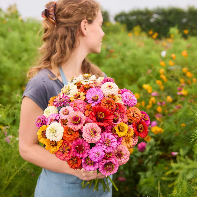 🌸 Spring flowers are preferred🌿Zinnia Seeds - Pure Seeds - No Filler - USA Heirloom Flower Seeds-TJY